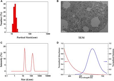 In Vivo Toxicity Evaluation of PEGylated CuInS2/ZnS Quantum Dots in BALB/c Mice